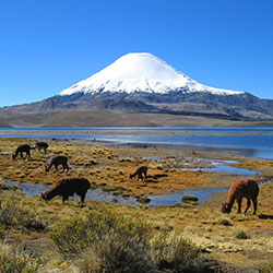 Chile