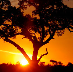 Sudafrica